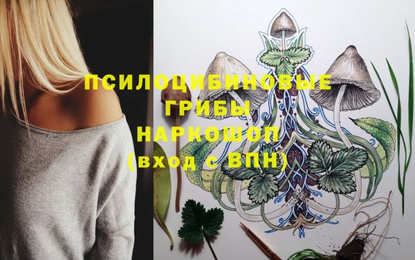 дмт Карталы